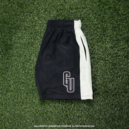 V1 Mesh Shorts